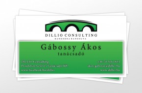 Dillio Consulting // névjegykártya